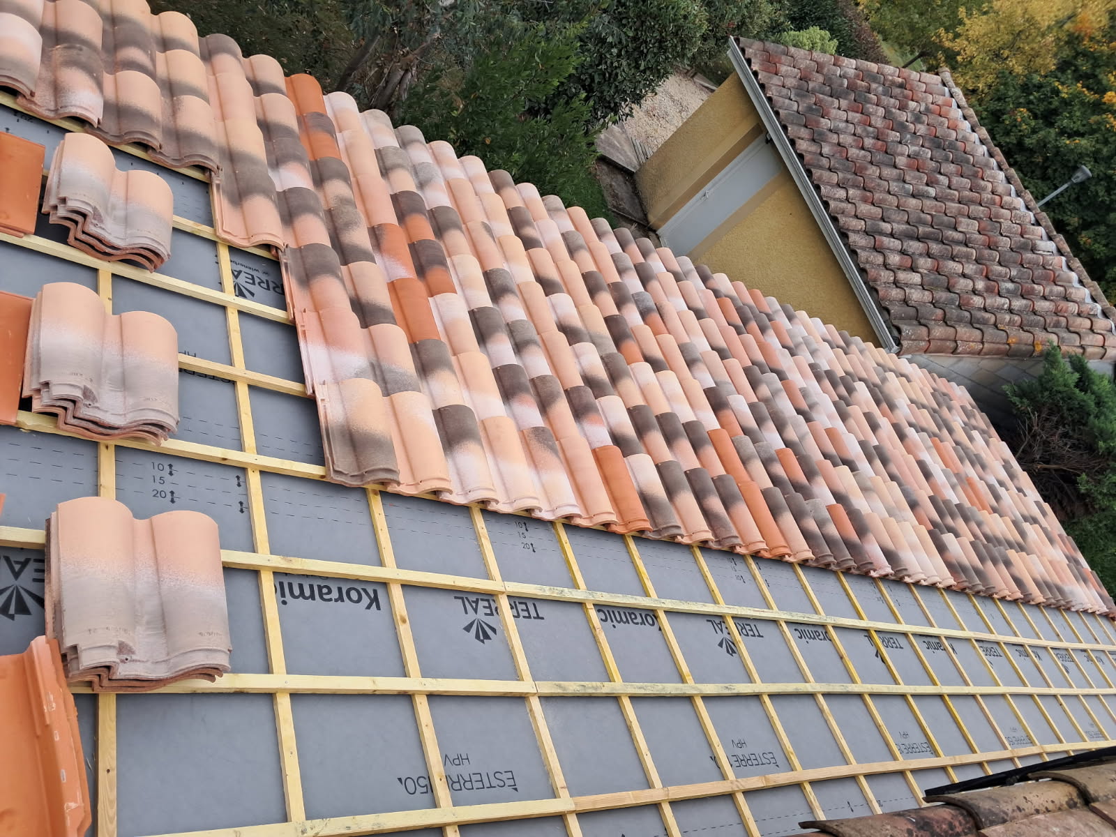 Travaux de toiture pinas 65300